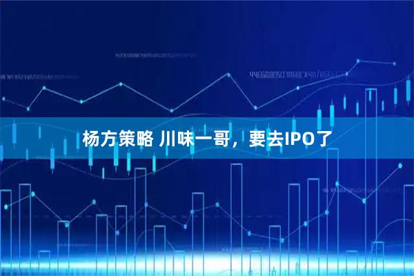 杨方策略 川味一哥，要去IPO了