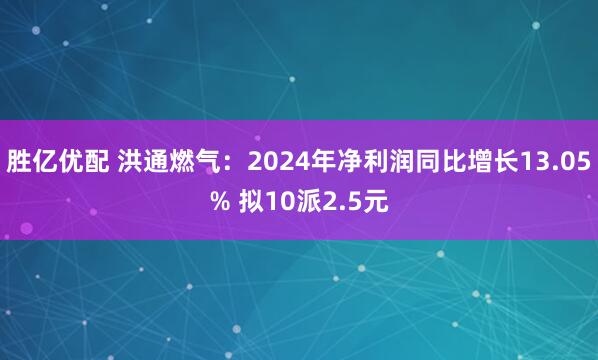 胜亿优配 洪通燃气：2024年净利润同比增长13.05% 拟10派2.5元