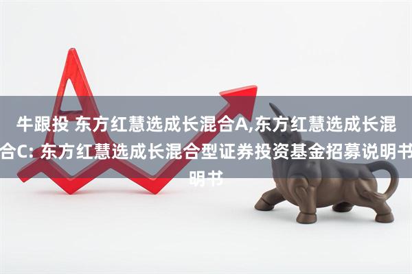 牛跟投 东方红慧选成长混合A,东方红慧选成长混合C: 东方红慧选成长混合型证券投资基金招募说明书