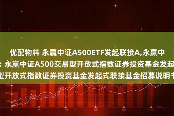 优配物料 永赢中证A500ETF发起联接A,永赢中证A500ETF发起联接C: 永赢中证A500交易型开放式指数证券投资基金发起式联接基金招募说明书