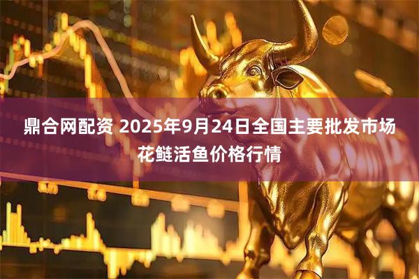 鼎合网配资 2025年9月24日全国主要批发市场花鲢活鱼价格行情