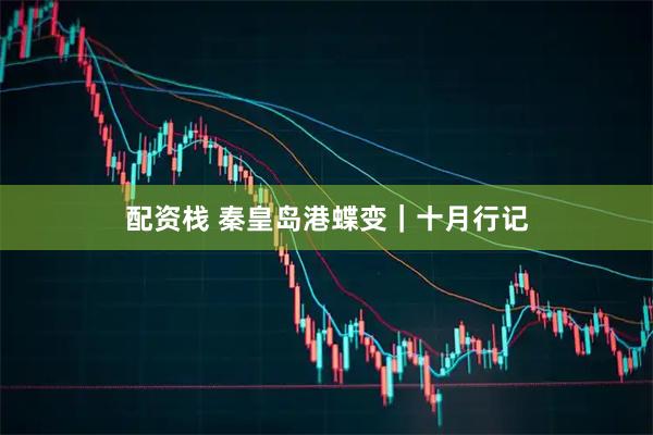 配资栈 秦皇岛港蝶变｜十月行记