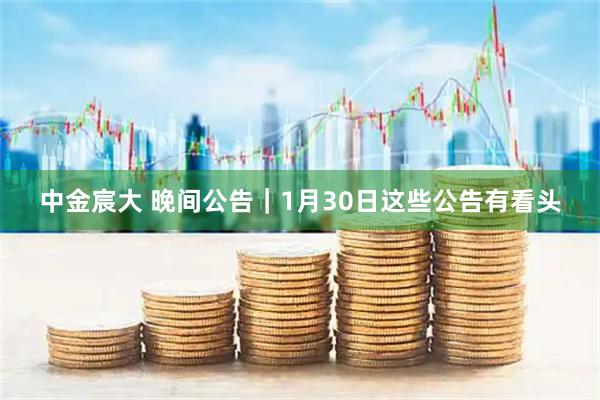 中金宸大 晚间公告｜1月30日这些公告有看头