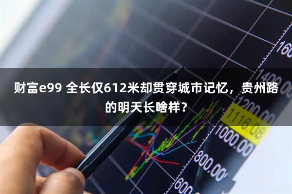 财富e99 全长仅612米却贯穿城市记忆，贵州路的明天长啥样？