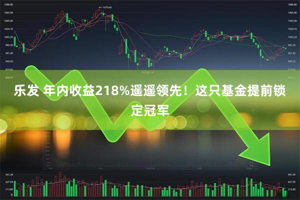 乐发 年内收益218%遥遥领先！这只基金提前锁定冠军