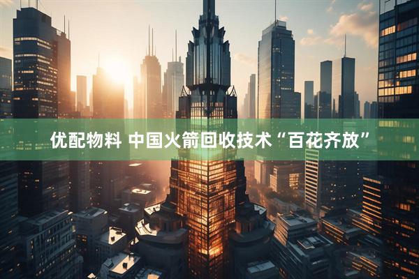 优配物料 中国火箭回收技术“百花齐放”